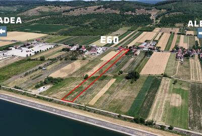 RECO Teren intravilan 6890mp in Urvind - 3