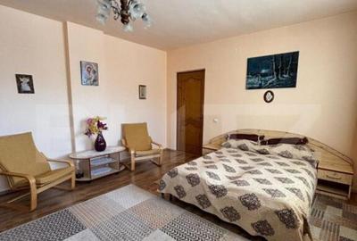 Casa cu destinatii multiple, 8900 mp teren, Vatra Moldovitei - 16