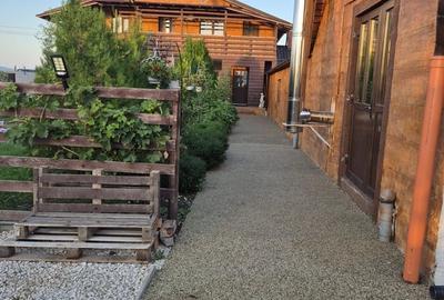 Casă cu 10 camere cu Teren 28000 Mp în Central