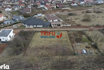 Teren de 990 mp, în Cetate - 3