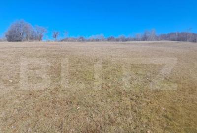 Teren intravilan, perfect pentru casa de vacanta, 5000 mp, A - 3