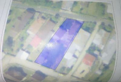 Casă cu 4 camere în Păulești - 4