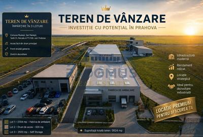 Teren Construcții intravilan de 2304 mp, în Păulești - 9
