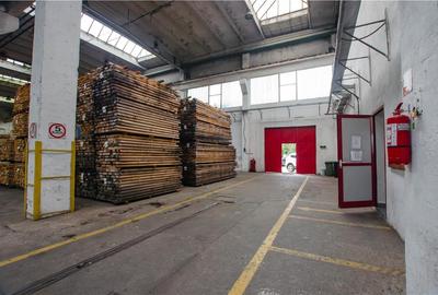 Spațiu industrial, de 5,200 mp, în Periferie - 16
