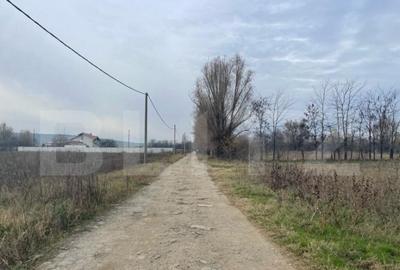 Teren extravilan agricol 5792 mp Popoveni - 2