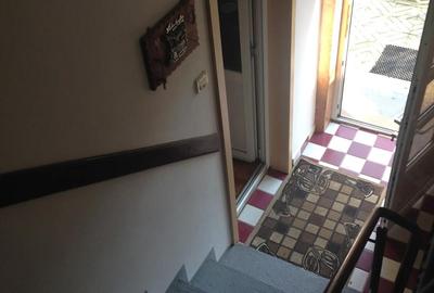 Casă cu 7 camere în Elisabetin - 9