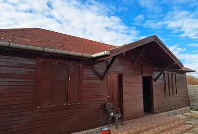 OFERTA in Bacia, Hunedoara ! Proprietate 2 case + Cabana + Livada - 16