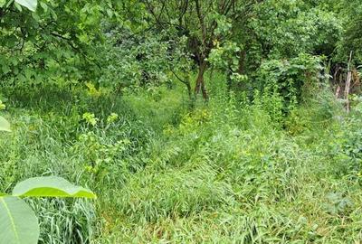 Casă cu 3 camere cu Teren 260 Mp în Onești - 4