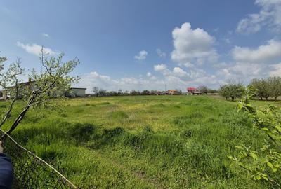 Spațiu comercial, în Central - 6