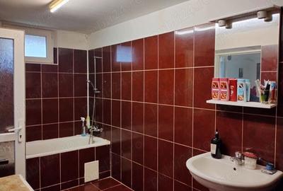 Casă cu 2 camere în Brestovăț - 5