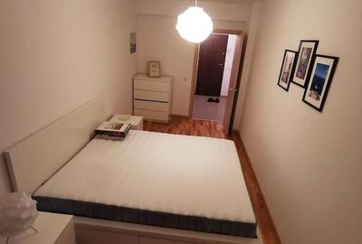 Apartament cu 2 camere decomandat în Baba Novac - 4