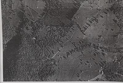 Teren de 37947 mp, în Pojorâta - 5