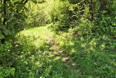 Spațiu comercial, în Schei - 6