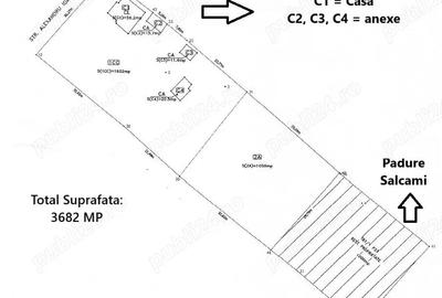Casă cu 4 camere cu Teren 3682 Mp în Radu Vodă - 9
