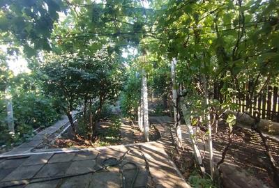 Casă cu 2 camere cu Canalizare în Palazu Mare - 8