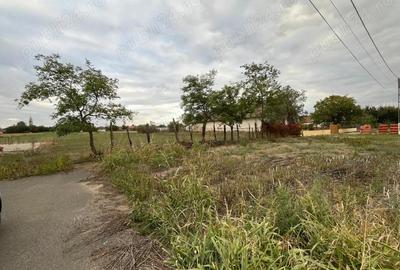 Teren de 3000 mp, în Checea