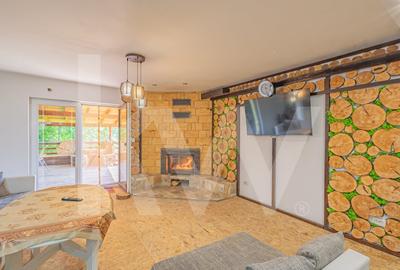 Casa de vacanta spatioasa cu priveliste spectaculoasa in Tocile - 14