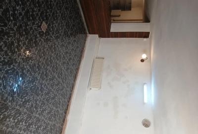 Spațiu comercial, de 80 mp, în Luduș - 2