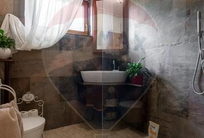 Casa spectaculoasa in Media? re?edin?a antrenorului Cristi Pustai - 9