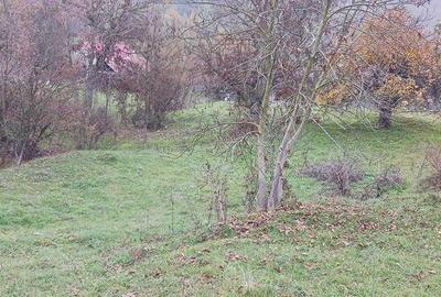 Teren de 7800 mp, în Țaga - 3