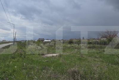 Teren Construcții intravilan de 5000 mp, în Nord-Est - 3