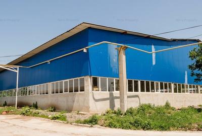 Oferta inchiriere hala/atelier auto cu birouri in Vanatori,  Galati - 6