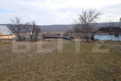 Teren intravilan 3712 mp + 2600 mp extravilan in Dobrovat - 1