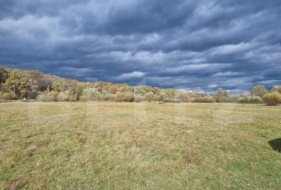 Teren 9000mp, intersectia DN 1 DN 6, Vestem, Selimbar - 2