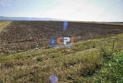 Teren iesire din Nicolae Balcescu, la 200ml de E85 Bacau - 2