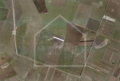 Oportunitate Investitie A0/A3 - 1