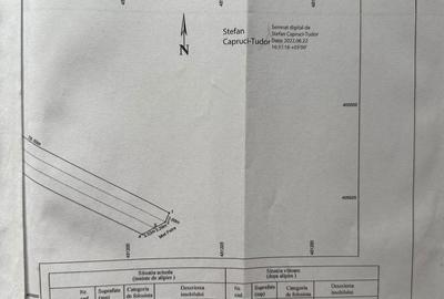 Spațiu comercial, în Bujoreni