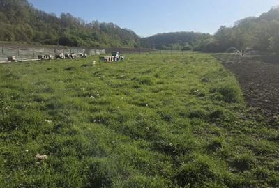 Casă cu 3 camere în Exterior Vest - 4