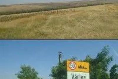 Teren Extravilan cota parte 1/4, Varlezi, ID: R2730256 - 8