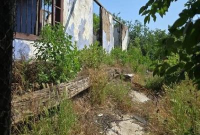 Casă cu 1 camere cu Teren 1200 Mp în Cucuruzu - 4