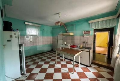 Casă cu 5 camere cu Teren 3000 Mp în Horea - 8