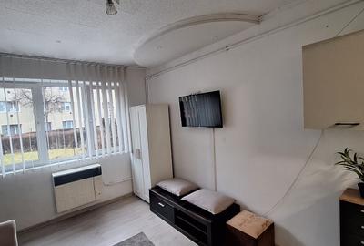 Garsonieră semidecomandată în Noua - 1