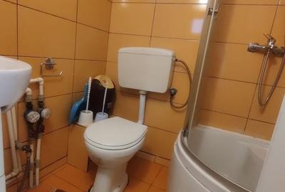 Garsonieră semidecomandată, mobilată în Gorjului - 4