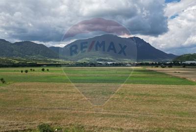 Teren agricol intravilan de 1180 mp, în Sud - 11