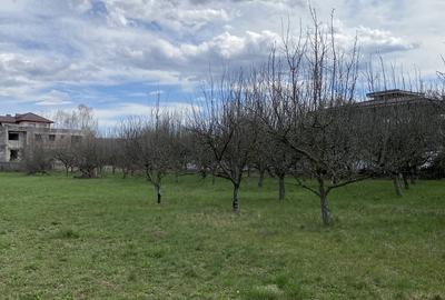 Teren în Pruni - 9