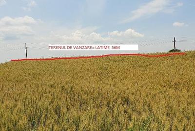 Teren de 5900 mp, în Curcani - 2