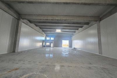 Inchiriez Depozit nou 524 MP, Timisoara, chiar langa noua descarcare autosdrada Sanandrei - 5