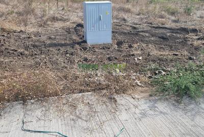 Teren Construcții intravilan de 520 mp, în Frumușani - 3