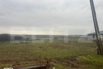 Spațiu comercial, în Robănești - 5