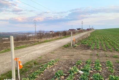Teren de 508 mp, în Valea Lupului - 2