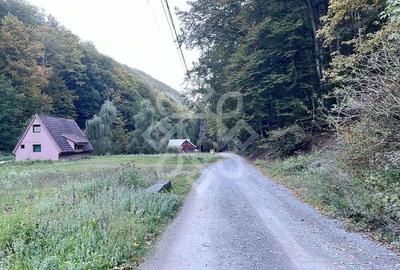 Teren pentru casa de vacanta pe Valea Bratcutei, Bihor - 11