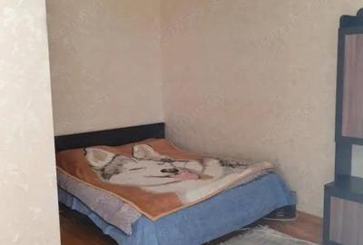 Apartament cu o camera de inchiriat in zona Dambovita - 3