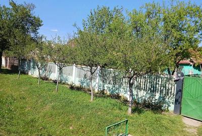 Casă cu Teren 1900 Mp în Central - 14
