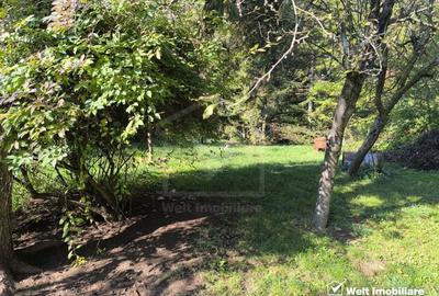 Casa veche, 3 camere, 978 m.p. teren, Grigorescu, locatie de vis - 8