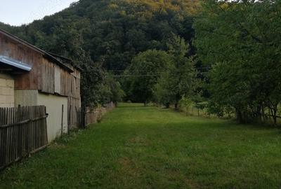 Casă cu 2 camere în Dărmănești - 6