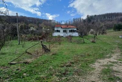 Casă cu 4 camere cu Teren 9000 Mp în Cotmeana - 4